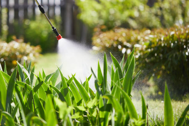 24/7 Emergency Cockroach Control experts in Coral Springs, FL