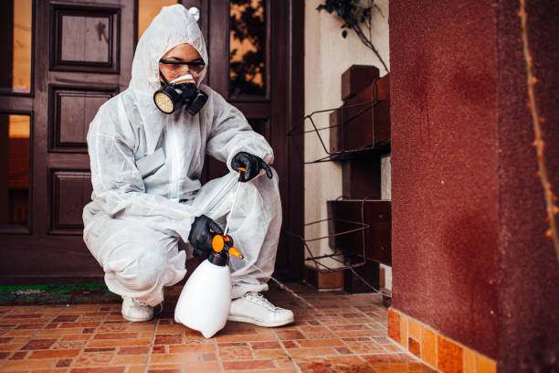 Reliable Cockroach Control contractor in Coral Springs, FL by Nex Pest Control