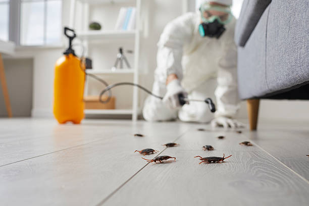 Affordable Cockroach Control solutions in Coral Springs, FL